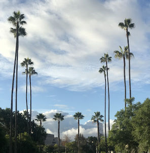 Meet your Posher, Ehren